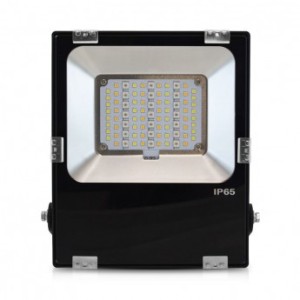 Projecteur LED 30W Blanc IP65 extérieur