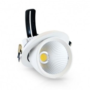 Spot LED escargot inclinable et orientable 30W 3000°K + alim. électronique VISION EL